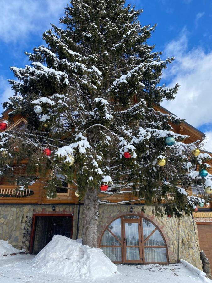 Високий Перевал, Bukovel Iablunîțea Exterior foto